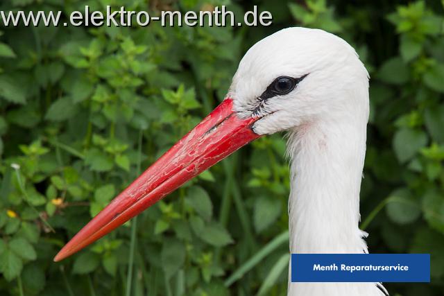 Foto Laudi -28.JPG
